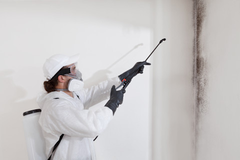 Dieses Bild zeigt einen Handwerker, der einen Schutzanzug und eine Gesichtsmaske trägt und mit einer Spritzpistole Chemikalien auf einen schwarzen Schimmelfleck an einer weißen Wand sprüht.