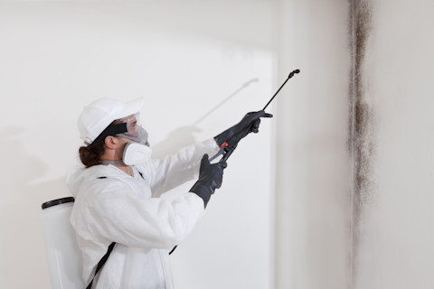 Dieses Bild zeigt einen Handwerker, der einen Schutzanzug und eine Gesichtsmaske trägt und mit einer Spritzpistole Chemikalien auf einen schwarzen Schimmelfleck an einer weißen Wand sprüht.