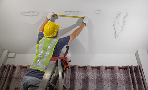 welcher-handwerker-bei-wasserschaden-1