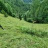 Rosuș Gheorghe