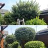 Gartenpflege Anton