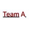 Team Amic GmbH