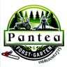 Pantea Valer Mihai