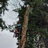 Dunkelbunt