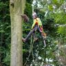 Eder Baum.Wald.Forst