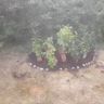 Haus und Garten Service Brand