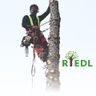 Riedl Gartenpflege/Baumrodung