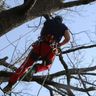 Scorpio Gartenservice
