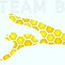 Team Bodensee 