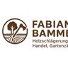 Holzschlägerung und Handel Fabian Bammer