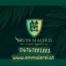 Ervin malerei