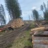 Forst-Dienstleistungservice Scheikl