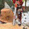 Leo`s Baum & Gartenservice