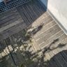 Rund ums Dach