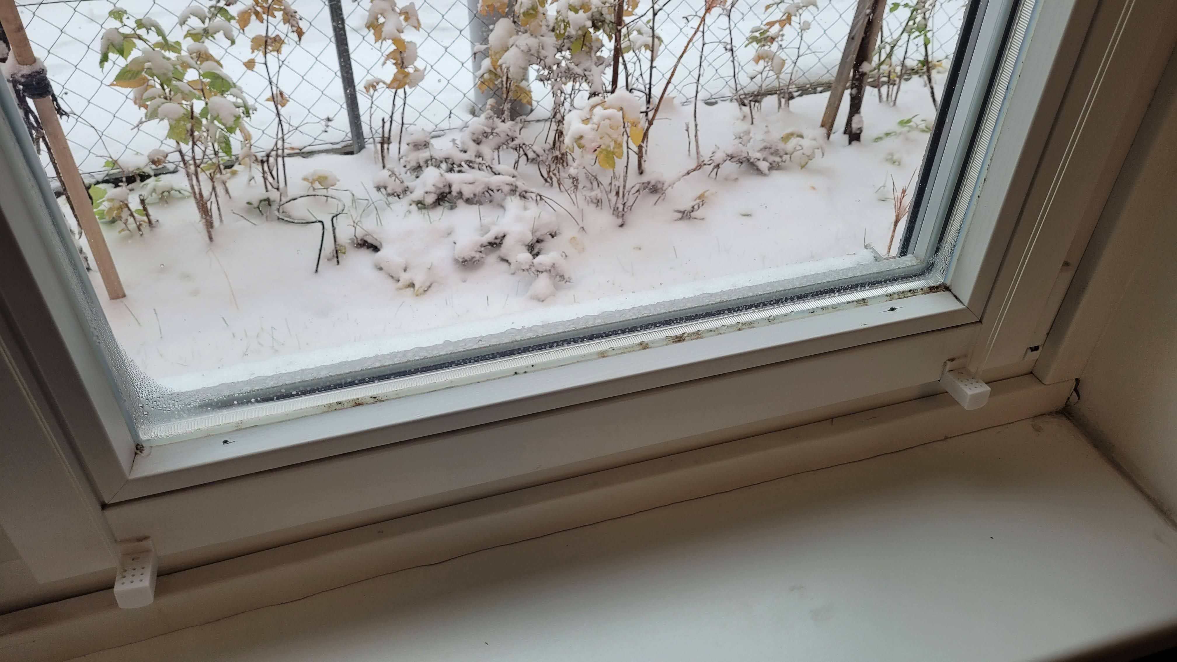 Silikonfugen bei 9 Fenstern innen entfernen und ersetzen - MyHammer